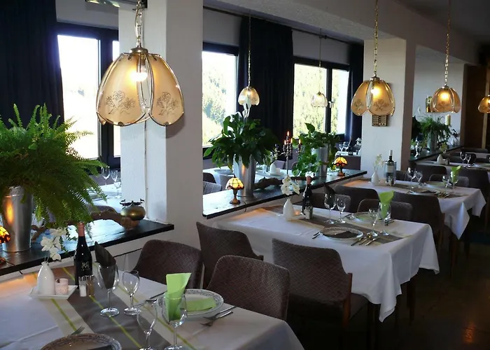 Panoramablick Wildewiese