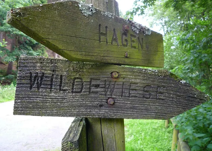 فندق Panoramablick Wildewiese